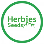 Herbies Head Shop