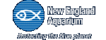 go to New England Aquarium