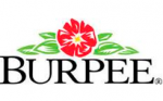 go to Burpee