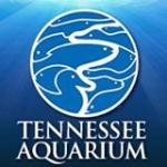 go to Tennessee Aquarium
