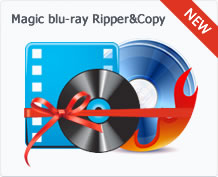 magic dvd ripper 9.0.1 registration code