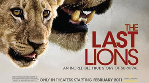 rip The Last Lions DVD with Magic DVD Ripper