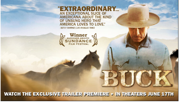 Rip Buck (2011) DVD to other video format 